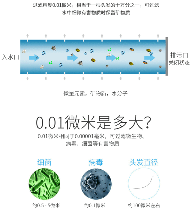 5.gif